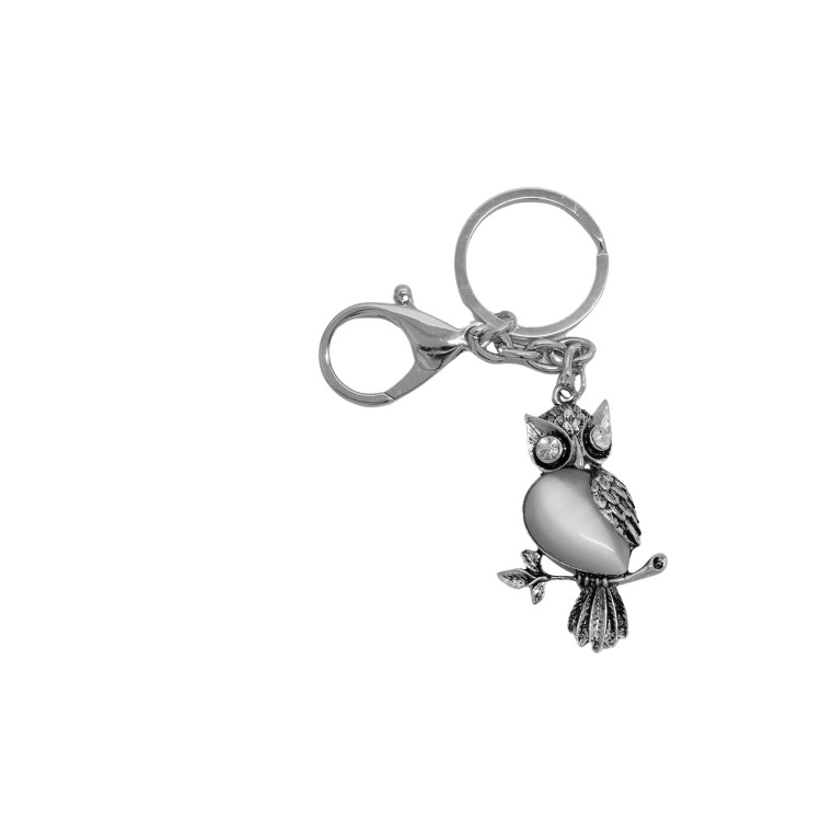 Key Chain in window Faced Box - Single Owl