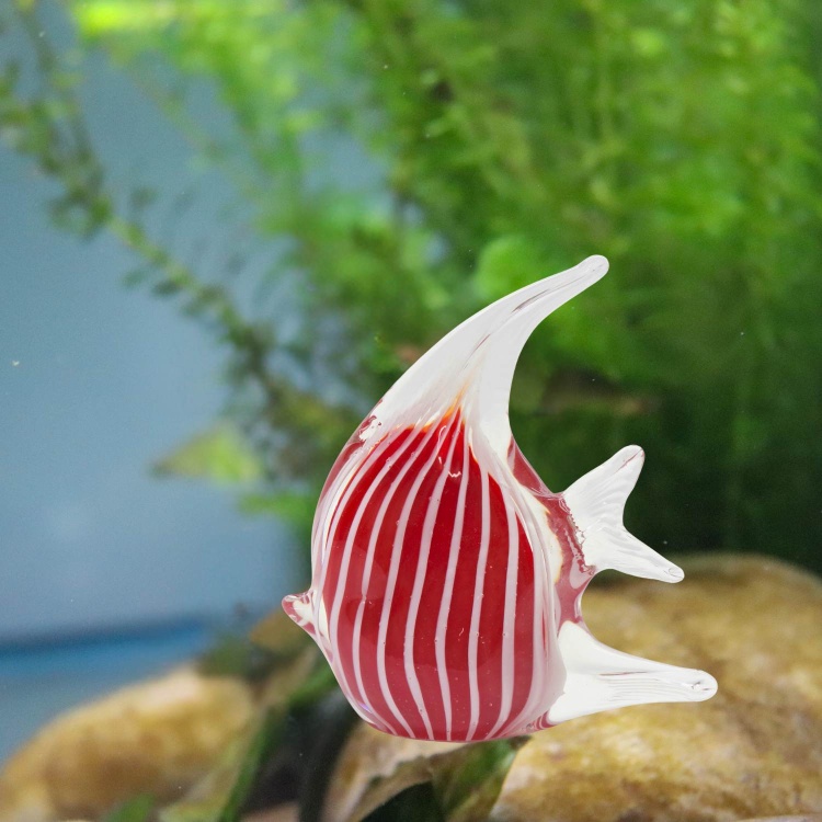 Zibo Handblown Art Glass - Red Angel Fish