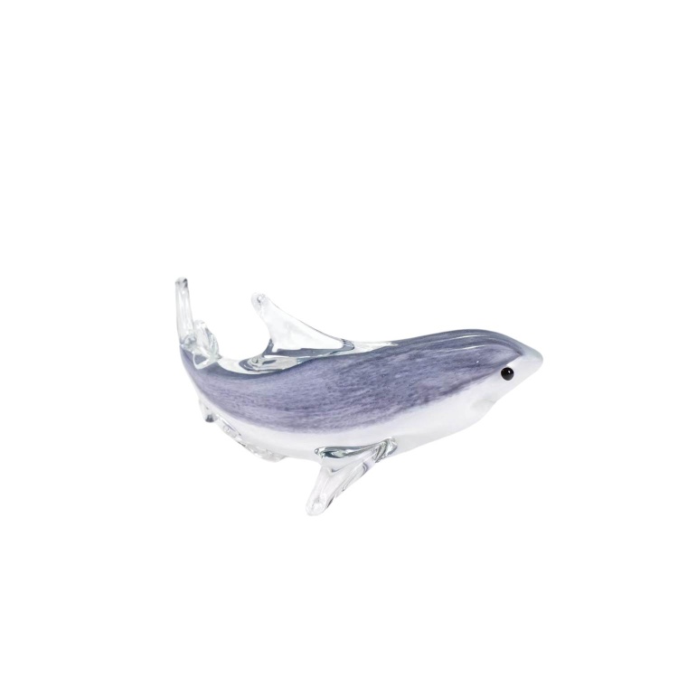 Grey Shark