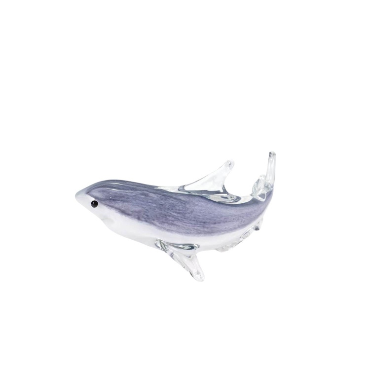 Grey Shark