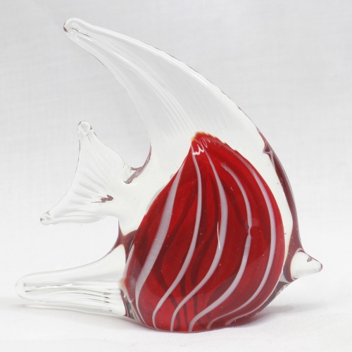 Angel Fish