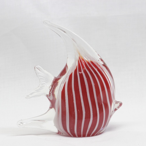 Angel Fish