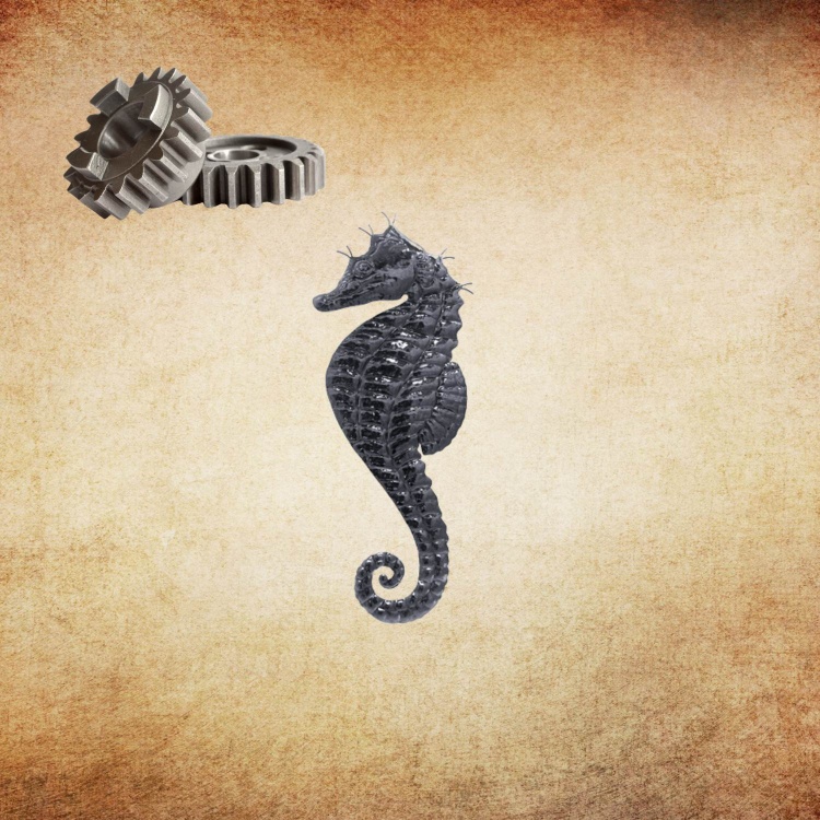 Seahorse Wall Hanging (Small)