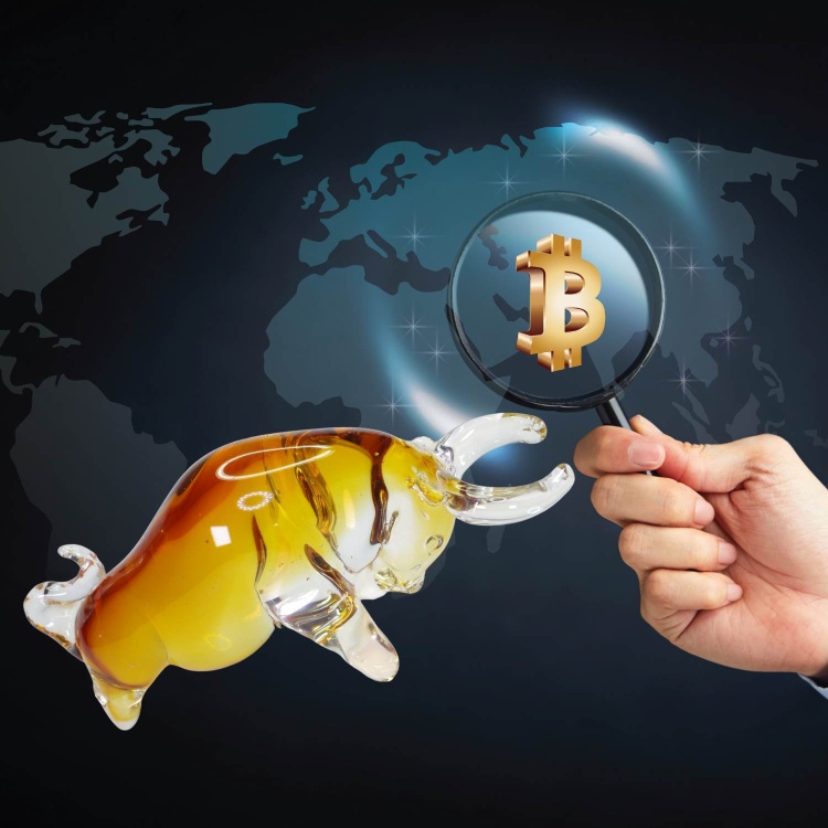 Zibo Handblown Art Glass - Wall Street Bull