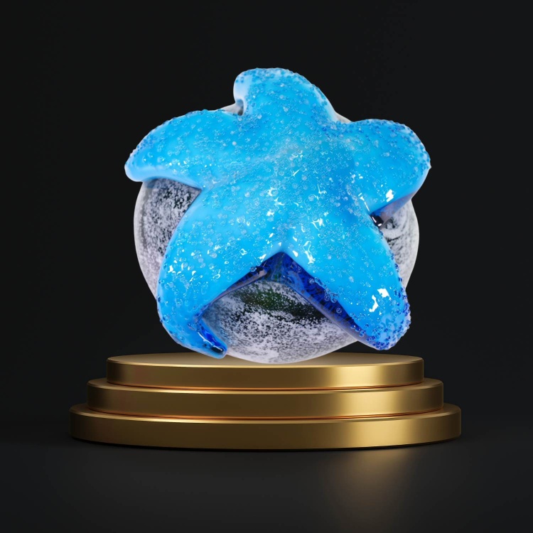 Zibo Handblown Art Glass Paperweight - Starfish