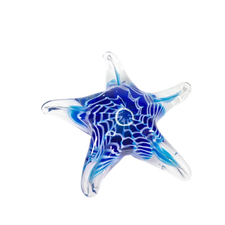 BLUE STARFISH
