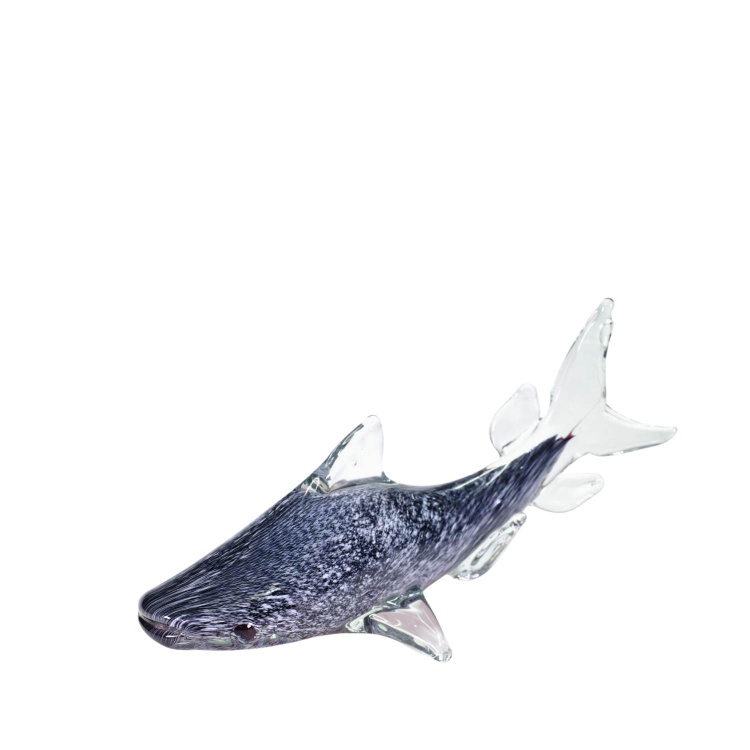 GF5236 Whale Shark