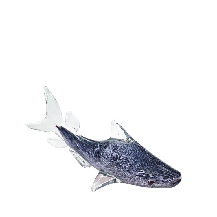 GF5236 Whale Shark