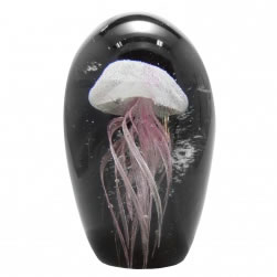 Deep Sea Pink Jellyfish