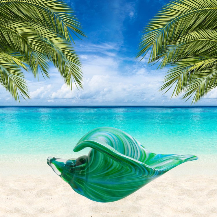 Blue and Green Seashell with Gift Box