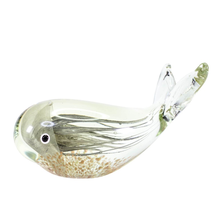 Whale with Jellyfish swimming in belly