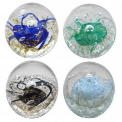 Paperweight Set of 4