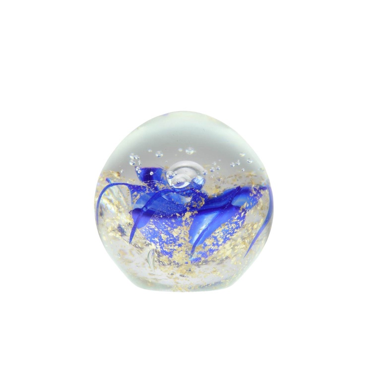 Paperweight Set of 4